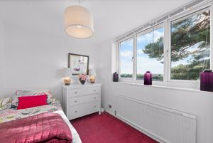 Photo 56- click for photo gallery